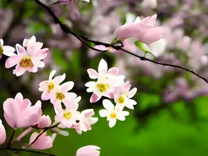 April PTO Newsletter