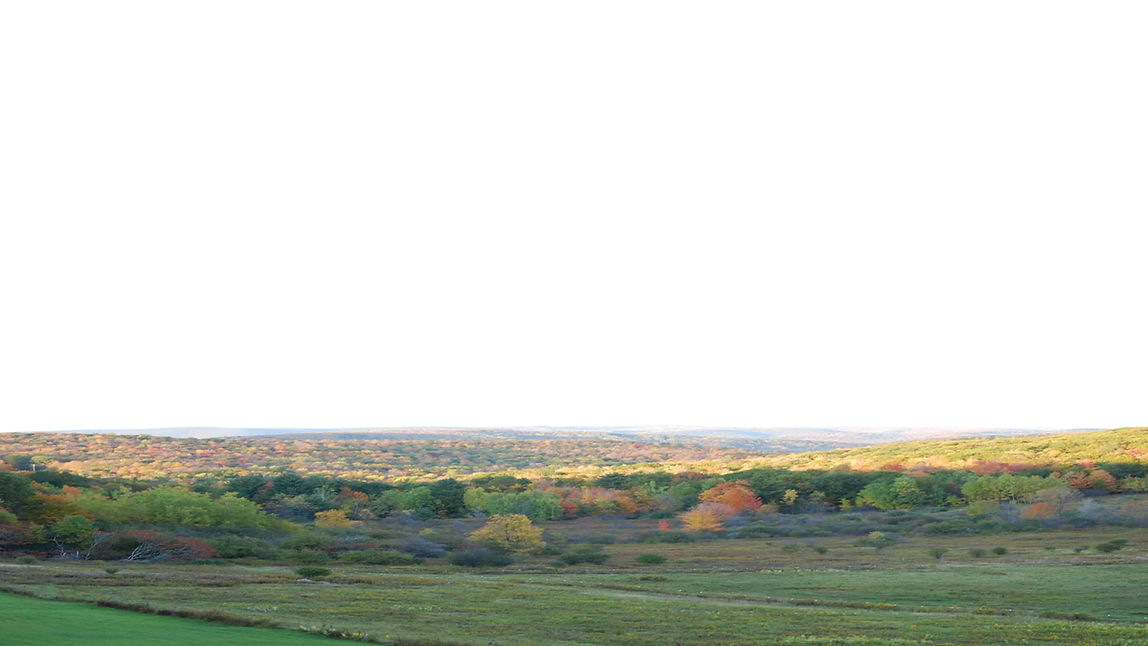 VIDEO tranquilitytrails