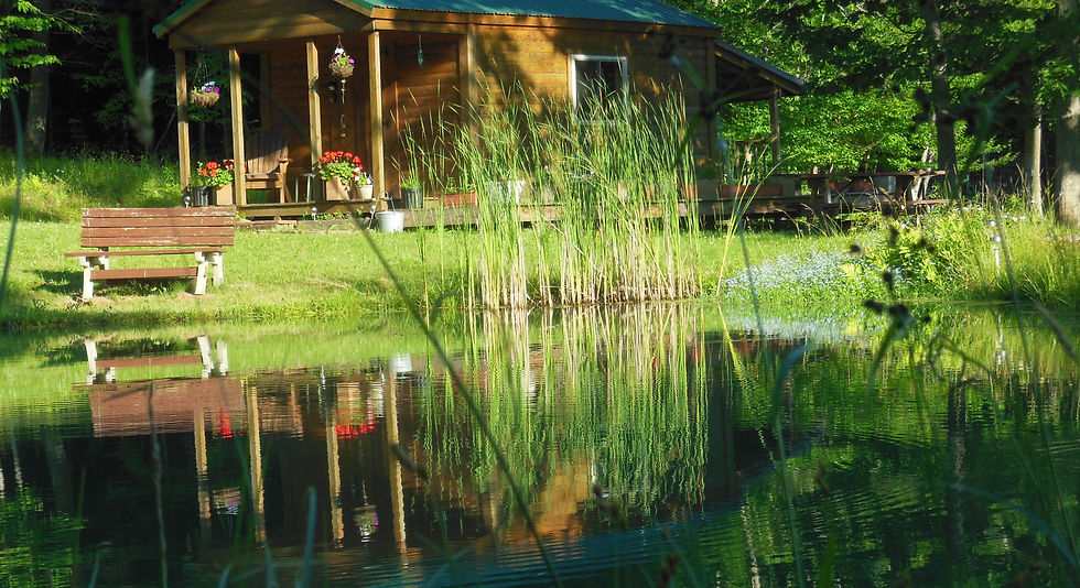 Ebb~n~Flow cabin/Koi pond