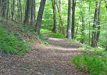 hiking trails-5.png