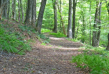 hiking trails-5.png