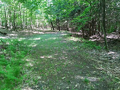 Whispering Pines entrance