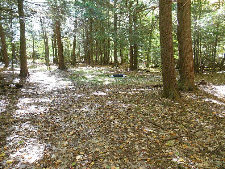 whispering pines