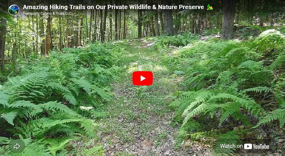 Hiking Trail Video at Tranquility Trails