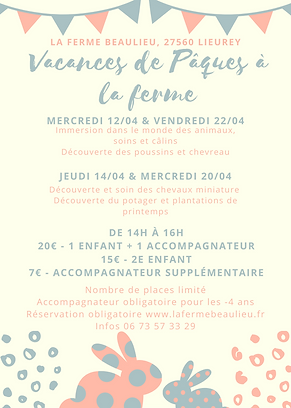 Rose et Bleu Lapin Pâques Flyer.png