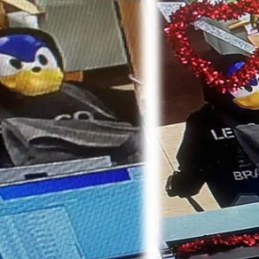 Um homem usando uma máscara do Sonic tenta roubar um banco na Flórida