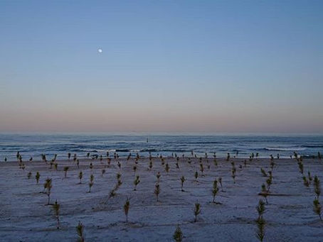 何とも言えない、海の風景