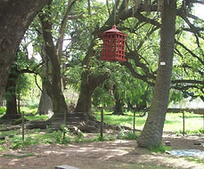Diseño de Parques y Jardines