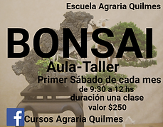 bonsai.png