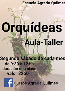 orquideas.png