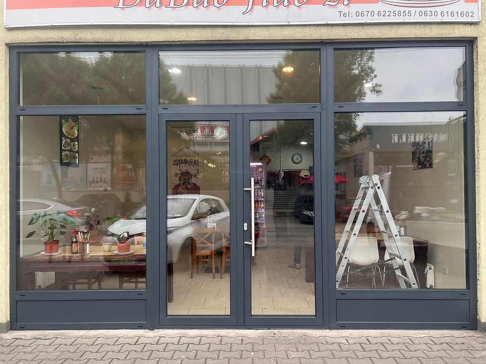 Double Aluminium Entrance Door with Glass Panels