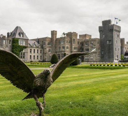 hawk exp Ashford Castle.jpg