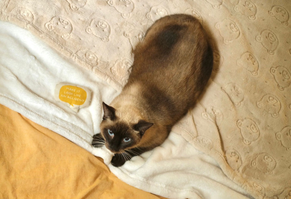 PHOTO-2025-11-07-16-03-24