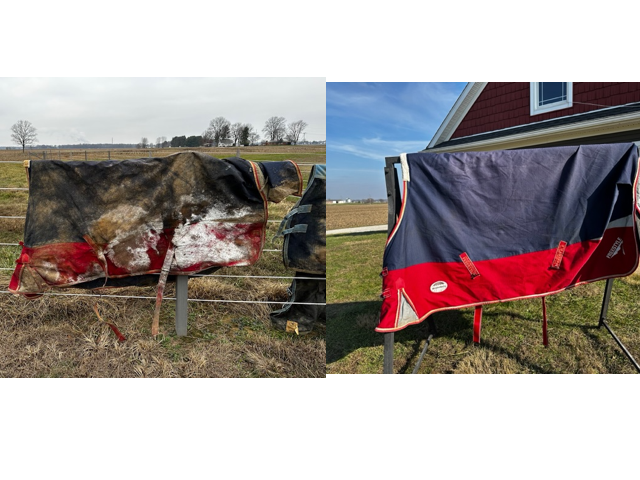 RSVP -- Uhl Feed - Summer Blanket Pick up