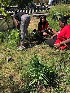 Weeding the Peace Garden.jpeg
