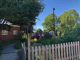 Peace Garden “Before” #2.jpeg