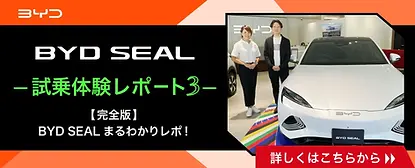 seal_report.webp