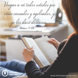 Día 8