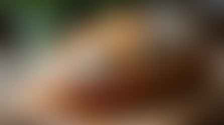 Join Our Sourdough Baking Community: Classes and Resources