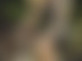 Programa de Apoio à Aquisição de Bicicletas em Lisboa