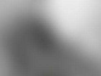 E. W. KIRKPATRICK: TEXAS HORTICULTURALIST WHO SAVED THE FRENCH WINE INDUSTRY