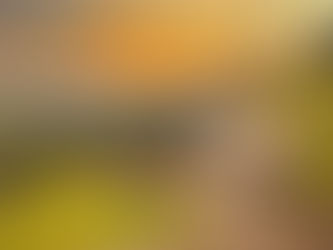 STILL CAMPING AFTER ALL OF THESE YEARS