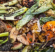 food-waste-header.jpg