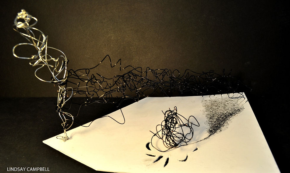 Skeleton of a Drawing