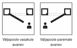 Avanemised