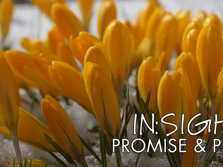 IN:SIGHT Promise and Peril