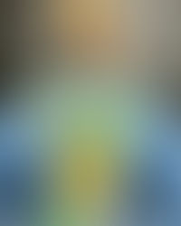 DIY Custom Collegiate Painted Denim Jacket: Baylor Bears!