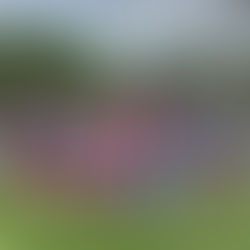 Riverside Paint Retreat : Learning, Laugher, & Friendship