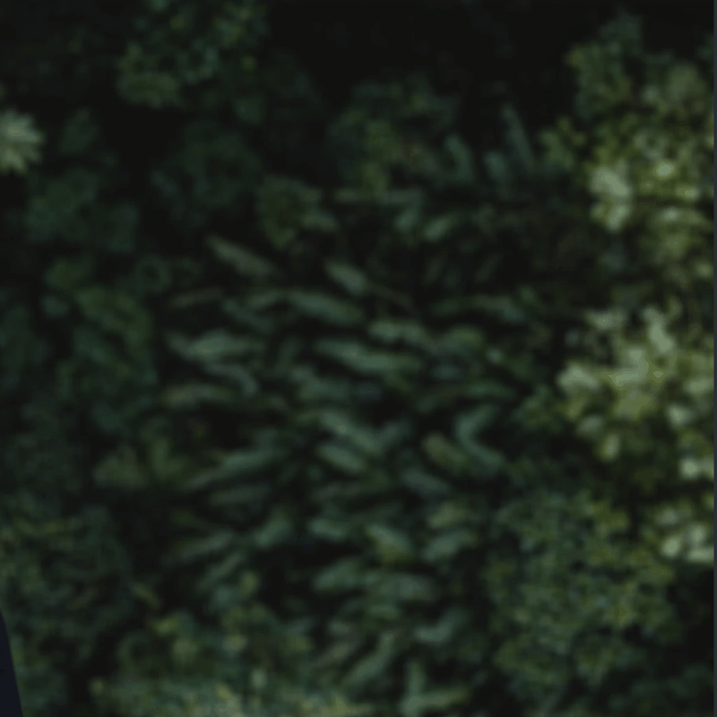 download (3).gif