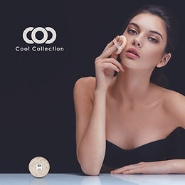COVER CC CUSHION.jpg