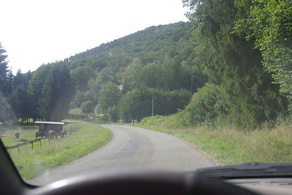 _IGP3745.JPG