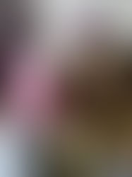 MEET HOPES' NEW BOARD