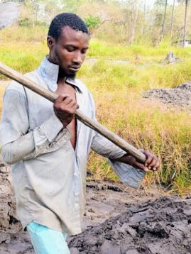 PADDIES INTO PEPPER BEDS