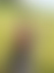 HOPE SAKUMA: SWAMP UNCOVERED