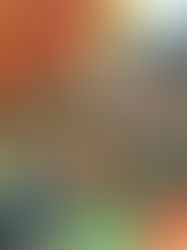 MAHANAIM HOUSE COALITION 4 DISABILITY SUPPORT