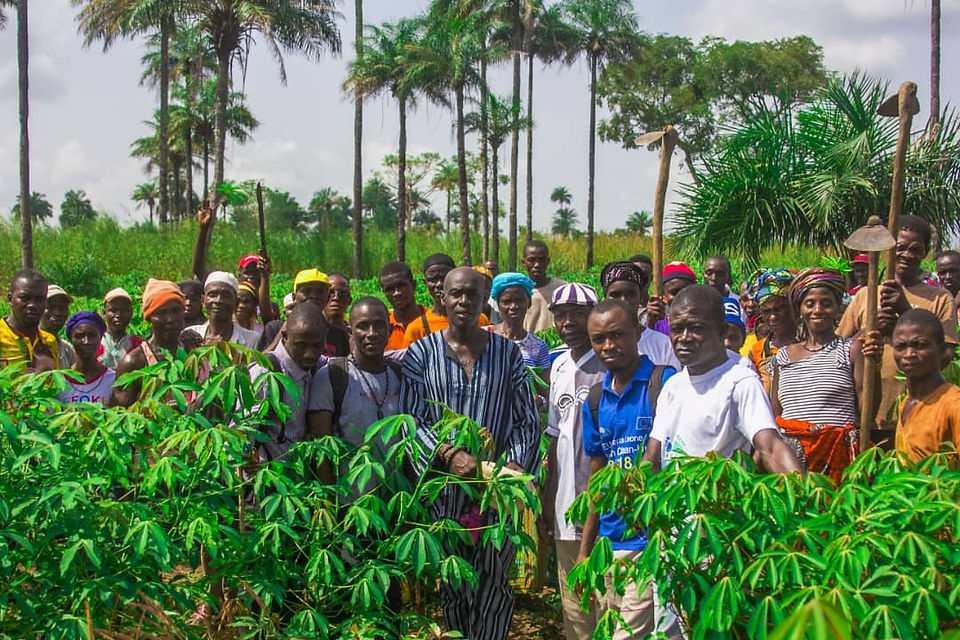 IMG-20181126-WA0016