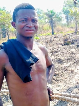 CASHEWS UNCOVERED: CLEARING FOR CASSAVA