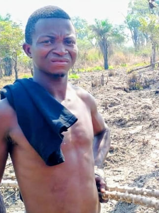 CASHEWS UNCOVERED: CLEARING FOR CASSAVA 