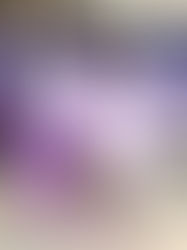 GOING FOR GOLD: SIXTH SPRINGWATER SPORTS MEET