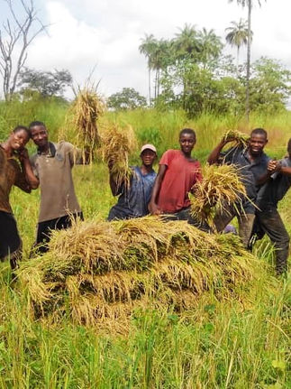 HOPES' HARVEST RESUMES