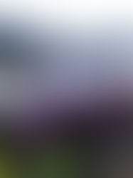 SMART NEW UNFORMS FOR SMART SIERRA LEONE KIDS