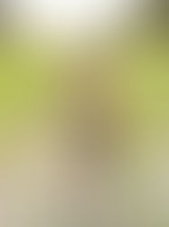 HOPE SAKUMA: MORE AZOLLA POWERED PADDIES