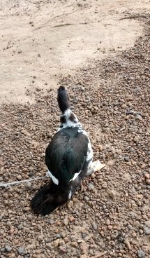 IMG-20191122-WA0059