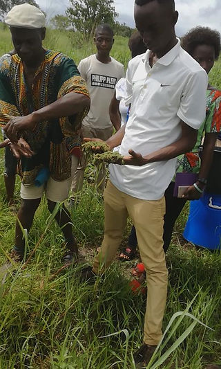 NJALA-6