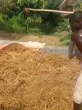 LET THE THRESHING BEGIN!