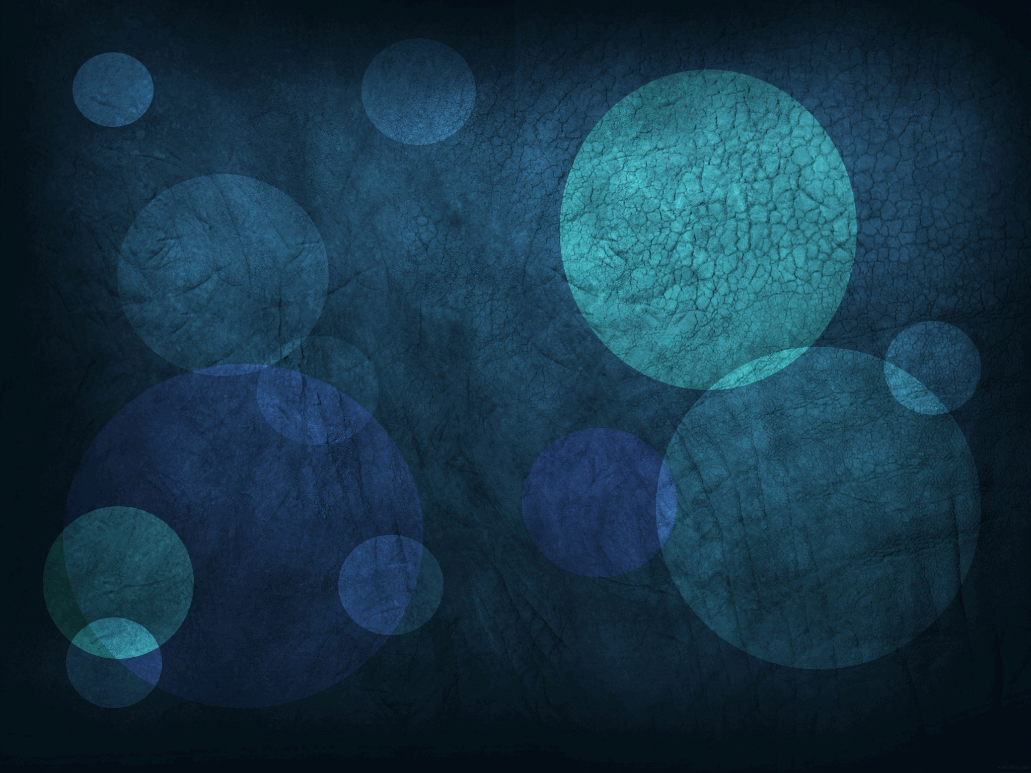 bulle 2.gif